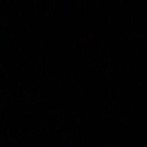 Meet your Posher, Dominick